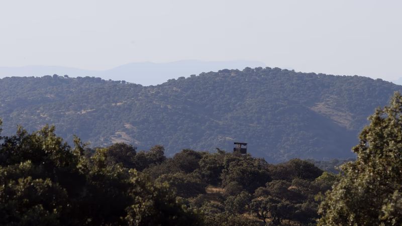 Entorno de la ruta: Aldea El Cerezo, Cardeña