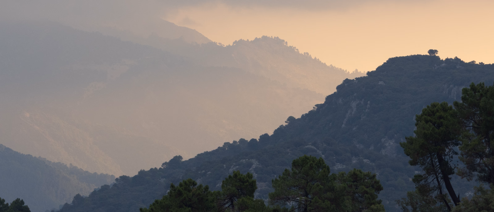 Entorno de la jornada: Sierra de Cazorla, Segura y Las Villas